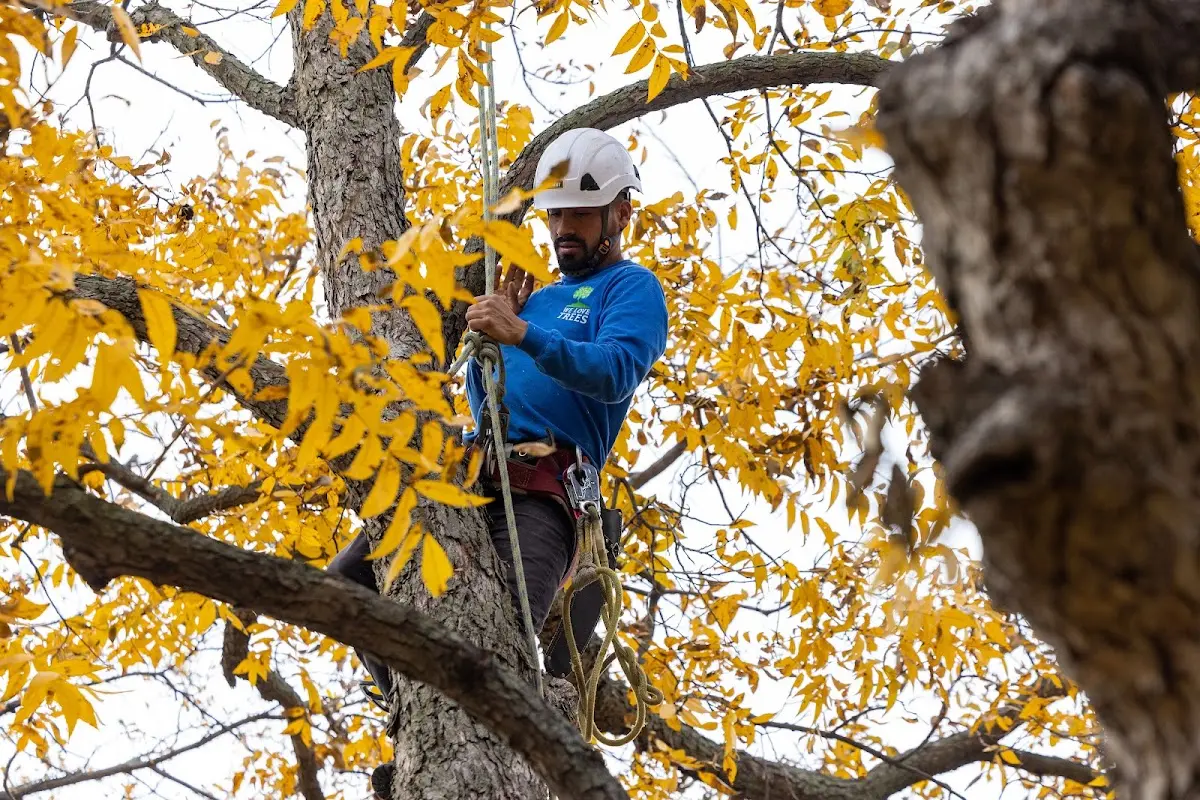 Skilled Storm Damage Cleanup crew working in Declo